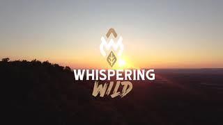 Whispering Wild | A Day in the Life