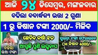 Today's breaking news odisha || Odia News | 24 December 2024 | CM Kisan |subhadra yojana online aply