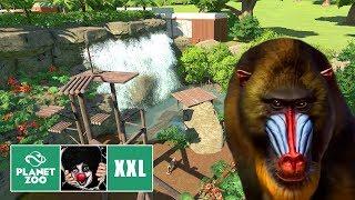  Mandrill Gehege | Habitat | Speed Build | Planet Zoo | Franchise | #004 | Deutsch