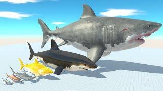 Shark of Evolution Become Megalodon VS ARBS T-Rex Dinosaurs fights - Animal Revolt Battle Revolt