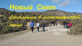 Крым, Новый Свет в Сочельник 2021. Погода и народу, как летом: загорают, купаются, много чаек