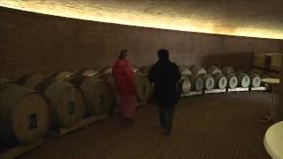 La Cantina Aurea di Podere Le Ripi