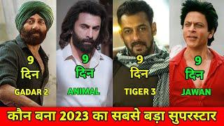 Animal Vs Tiger 3 Vs Jawan Vs Gadar 2 Comparison, Animal Box Office Collection, Animal Full Movie