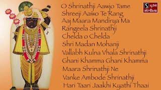 Shrinathji Satsang | 11 Beautiful Songs | Hari Taari Zaakhi
