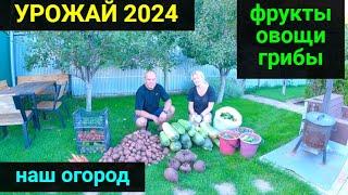 Our harvest is 2024!!! The vegetable garden was removed. We went to get mushrooms.