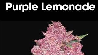 BRYTON - Purple Lemonade (song)