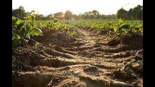 What Is The Scoop On Soil?- Junior Land Stewards Virtual Environmental Science Program