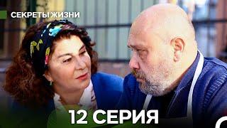 Секреты Жизни 12 Серия (русский дубляж)