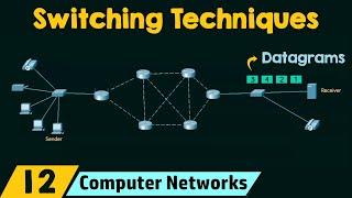 Switching Techniques in Computer Networks
