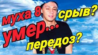 МУХА 8 УМЕР