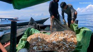 Hasil tangkapan, laut kalteng, melimpah ikan nya,