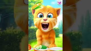 talking ginger funny videos || 