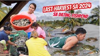 LAST HARVEST DITO SA DATING FISHPOND SA 2024