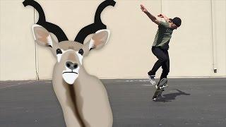 TODAY I LEARNED GAZELLE FLIPS