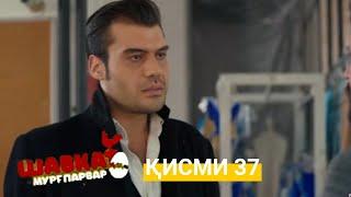 ШАВКАТ КИСМИ 37 SHAVKAT KISMI 37