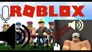 How to use ROBLOX VOICE CHAT 2021!