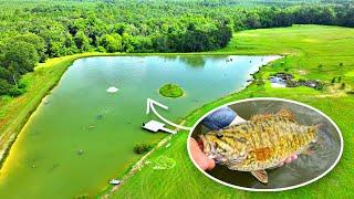 Adding Smallmouth Bass to the 5 Acre Pond!