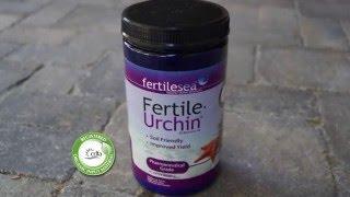 Fertile Urchin - Eco-Friendly Plant Boosters