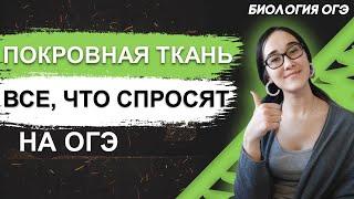 ОГЭ Биология 2022 | Детальный разбор темы: Покровная ткань | Все, что спросят на ОГЭ