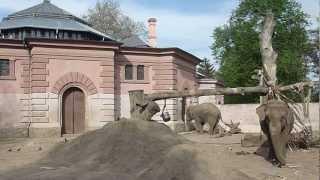 Zoological Garden Wroclaw