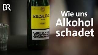 Warum wir immer weiter Alkohol trinken: Abhängigkeit & Risiken | Dirty Little Secrets | BR