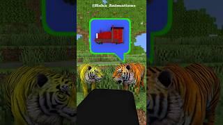 What did the two tigers see in the forest?