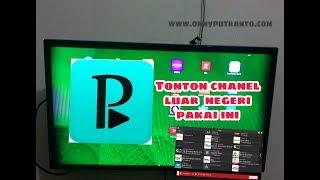 MENIKMATI CHANNEL TV SATELITE FTA (FREE TO AIR) DENGAN PERFECT PLAYER