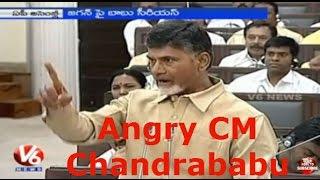 AP CM Chandrababu Naidu Fires on YS Jaganmohan Reddy || AP Assembly || V