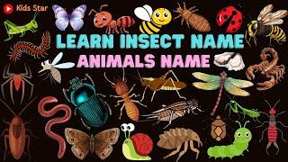 BELAJAR NAMA HEWAN SERANGGA BAHASA INDONESIA - INGGRIS | NAMES OF INSECT LEARN ANIMALS NAMA BINATANG