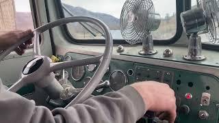 1949 Kenworth Hauling Cattle