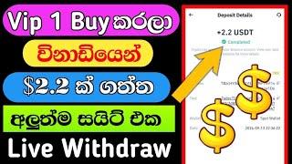 How to Earn Money Online Sinhala 2024 | USDT Earning Site | Live Withdraw  @woow_money_tv