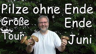 Pilze ohne Ende   Große Juni Tour