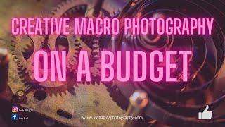 Creative macro photography on a budget