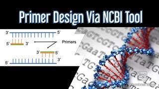 Primer design via NCBI tool | Step-by-step method |  Dr Abhimanyu Thakur