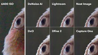 DeNoise AI is THE BEST Image Noise Reduction Software - PROOF!