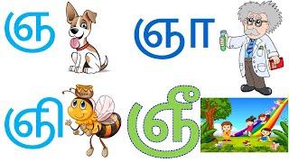 ஞ ஞா ஞி - தமிழ் உயிமெய் எழுத்துக்கள் | LEARN TAMIL LETTERS