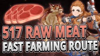 Raw Meat 517 Locations FAST FARMING ROUTE +TIMESTAMPS | Genshin Impact 3.1