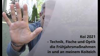 Koi 2021-2 - Technik, Fische und Optik - die Frühjahrsmaßnahmen in und an meinem Koiteich