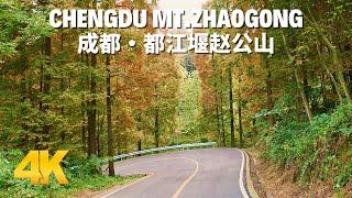 Driving in China -  Chengdu Mountain Forest Road in Mt.Zhaogong, Dujiangyan