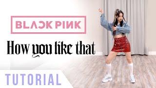 BLACKPINK - 'How You Like That' Dance Tutorial (Explanation & Mirrored) | Ellen and Brian