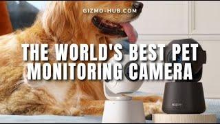 SiiPET : THE WORLD'S BEST PET MONITORING CAMERA | Indiegogo | Gizmo-Hub.com
