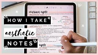 how I take AESTHETIC notes on iPad Pro│Notability 