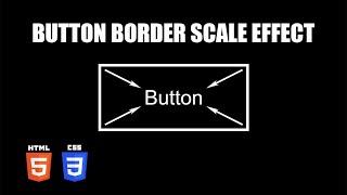 Button Border Scale Down Effect | HTML & CSS Tutorial