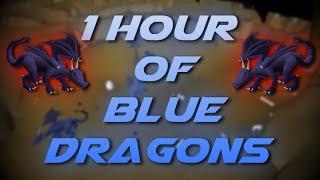 Slaying Blue Dragons | Testing OSRS Wiki Money Making Methods