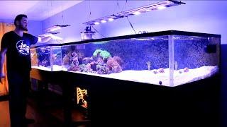 REEF TANK ADDICTION Season 2 Episode 2 ( 410 Gallon )