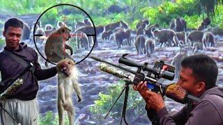 Sadist..‼️ hunter vs monkey all monkeys die because they destroy farmers' crops// Hunting wild