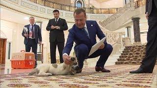 Дмитрию Медведеву подарили щенка