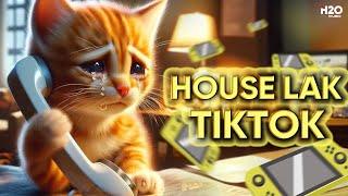 HOUSE LAK TIKTOKNHẠC REMIX TIKTOK 2024MIXTAPE DEEP HOUSE, VIET DEEP, HOUSE LAK