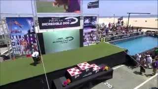 Fetch It 3rd Place - Incredible Dog Challenge 2015 Huntington Beach, CA