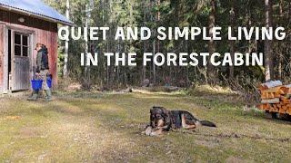 Quiet and simple living in the forestcabin - Hiljaista ja yksinkertaista eloa metsömökissä.